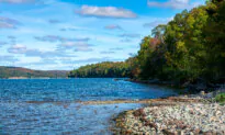 Nova Scotia Faces Complaints, Opposition After Banning Going Into Woods Due to Wildfire Risk