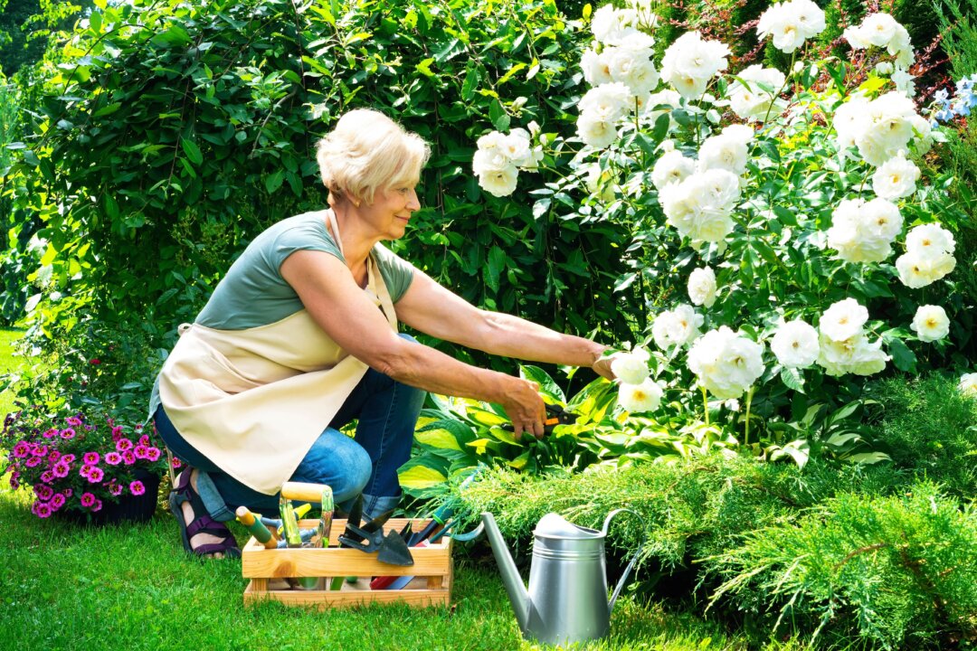 It’s Spring in Canada: Get Thee to the Garden