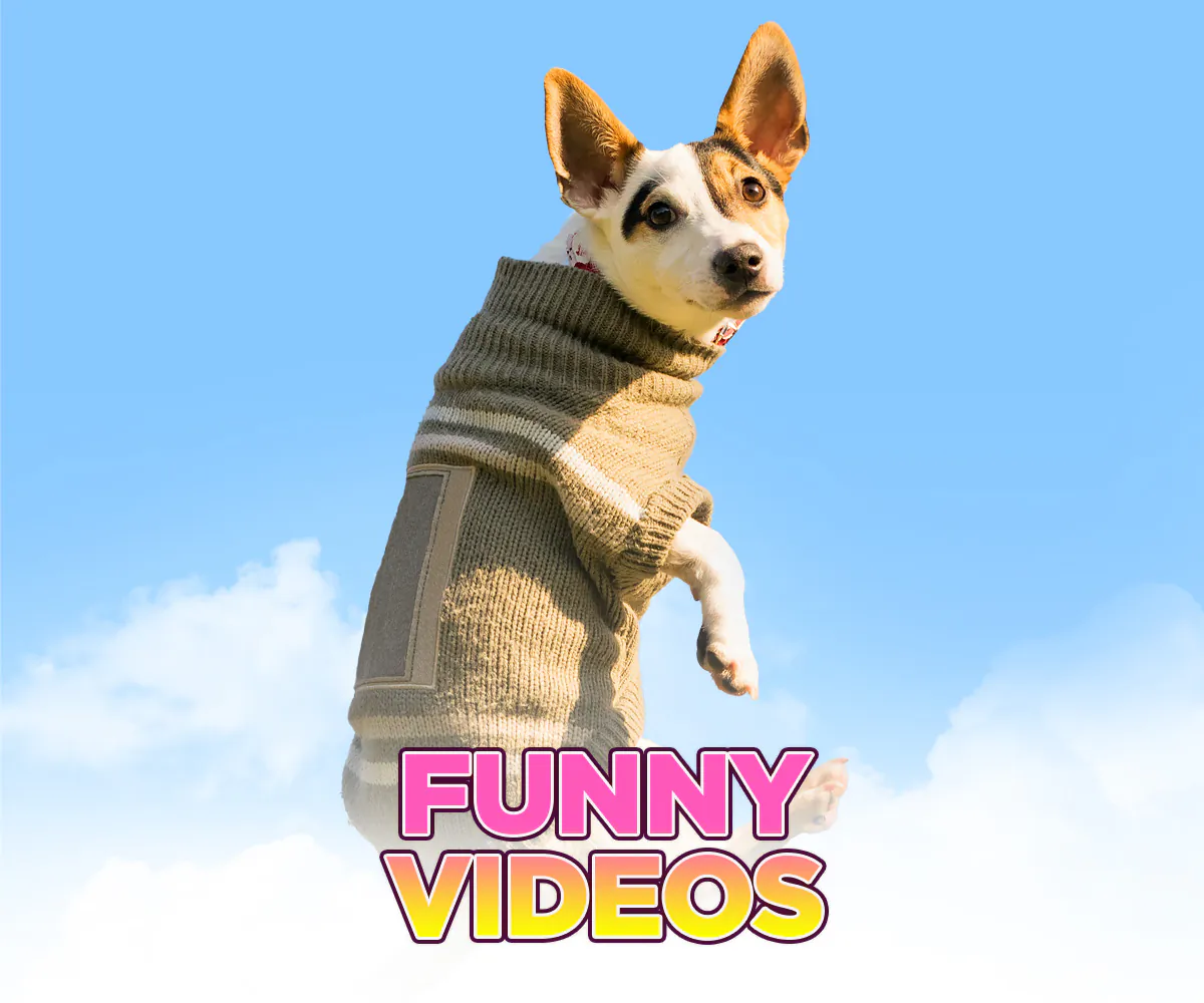 Viral Videos