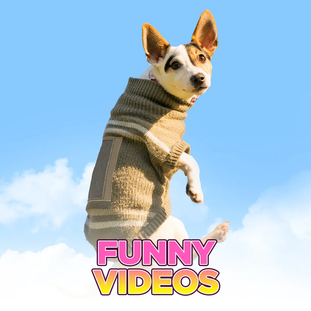 Viral Videos