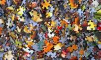 ‘Diversity’ Without Virtue and Shared Values Is Chaos