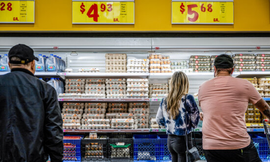 Families Struggle With High Food Costs Despite SNAP Benefits: Report