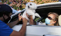 Veterinarian Says, Over Vaccination in Pets is Causing Harm