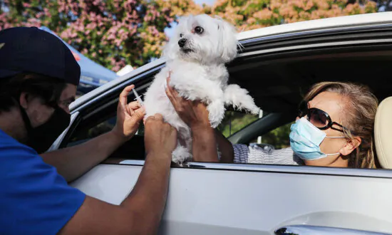 Veterinarian Says, Over Vaccination in Pets is Causing Harm