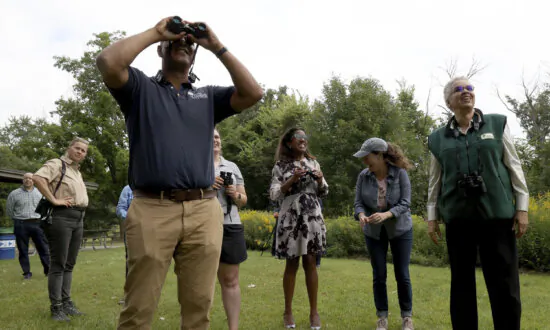 Tips for Planning Your Own Birding Trip