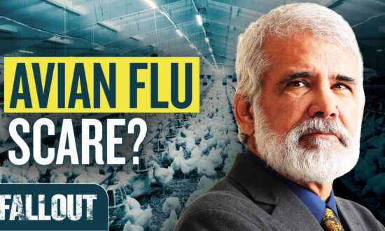 H5N1 Avian Flu: Everything You Need to Know | FALLOUT