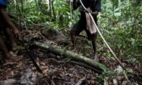 Australia Advises ‘High Degree of Caution’ Before Travelling to Papua New Guinea