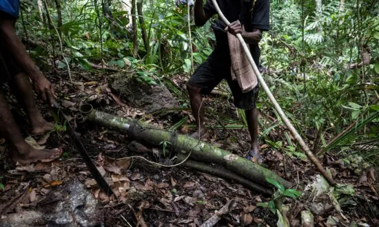 Australia Advises ‘High Degree of Caution’ Before Travelling to Papua New Guinea