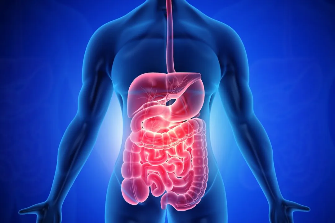 Anatomy of human body with digestive system. 3d illustration