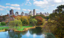 There’s More Than One Thing to See at Popular Destinations