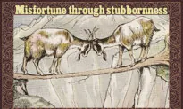 2 Stubborn Goats Crossing a Narrow Path Refuse to Give Way—Their Egoistic Clash Turns Fatal