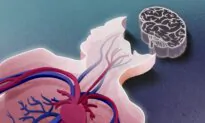 Brain-Dead People May Not Be Dead–Here’s Why
