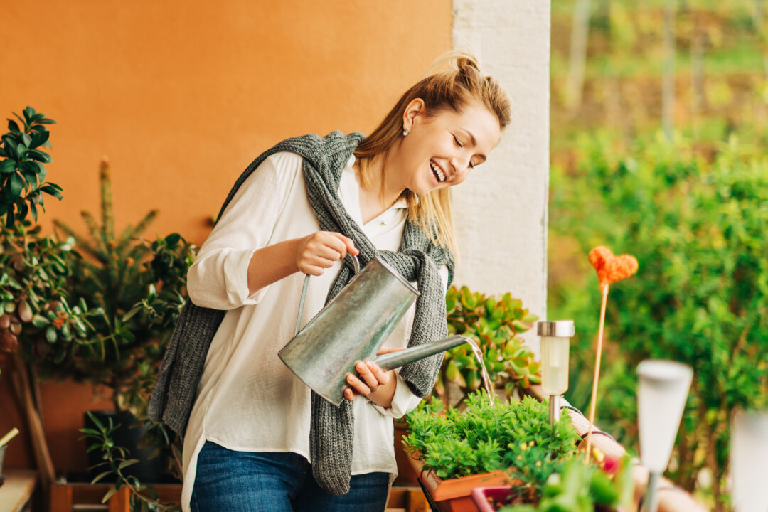 Green Warriors: The Top 5 Houseplants for Your Home