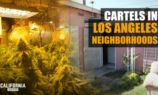 California Cities Facing Cartel-Style Illegal Growers in Neighborhoods | David Welch | Jake Fisher