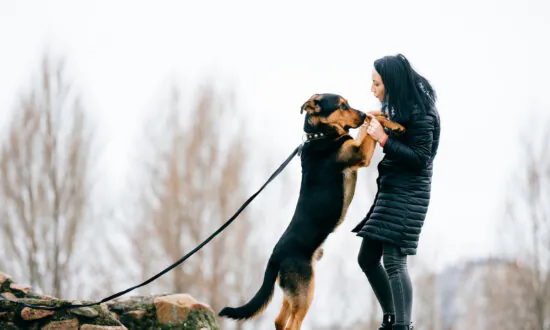 Turn Away From Dog Jumping on You