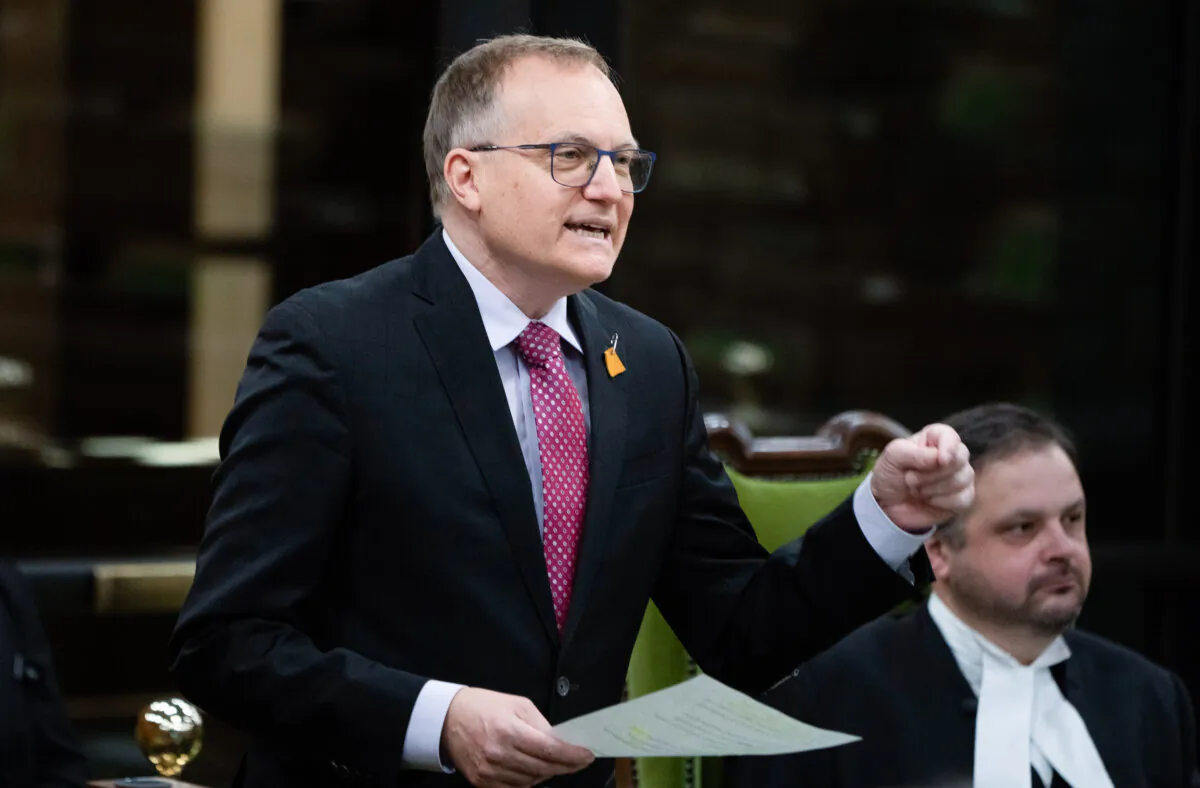 NDP MP for New Westminster-Burnaby Peter Julian rises during Question Period in Ottawa on Nov. 18, 2022. (Adrian Wyld/The Canadian Press)