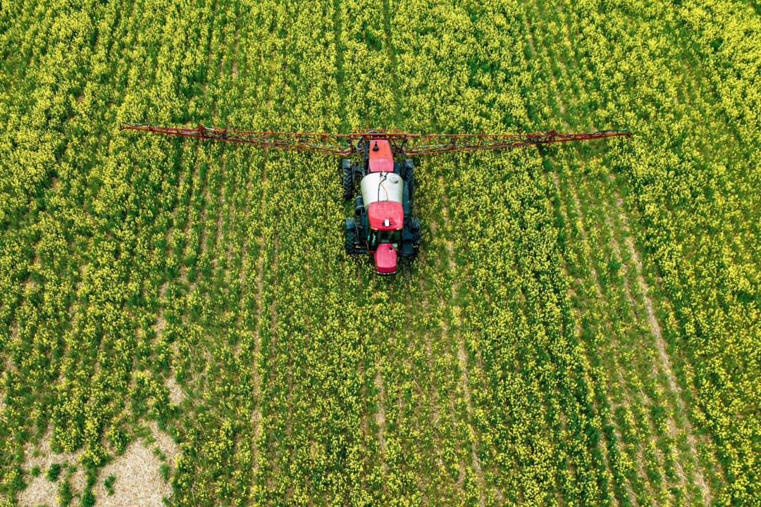 EPA Proposes Increasing Permissible Levels of Pesticide Atrazine in Agriculture