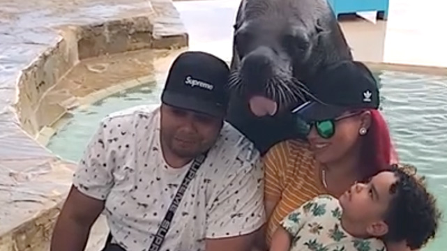 Sea Lion Makes Funny Faces in Family Portrait!