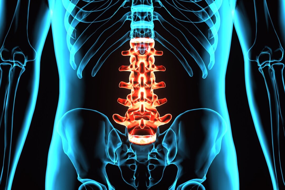Chiropractic Care Reduces Opioid Prescription for Lower Back Pain by 68 Percent: Study