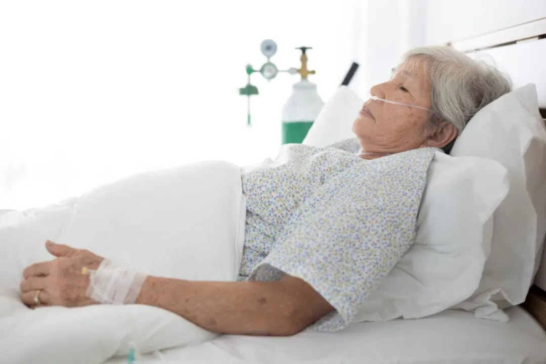 (Akkalak Aiempradit/Shutterstock)
