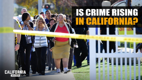 How California Makes It Illegal to Fight Crime: Sheriff Chad Bianco