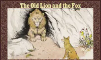 Lion Pretending to Be Sick Invites Fox for a Chat, But It’s Way Too Wise to Be Fooled