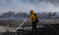Firefighters Contain Wildfire in Eastern San Diego County