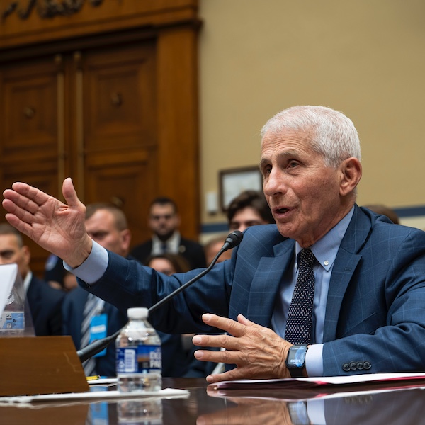 Fauci Testifies Before House Select Subcommittee on Coronavirus Pandemic