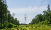 Baltic States Continue Accelerated Effort to Decouple From Russian Power System