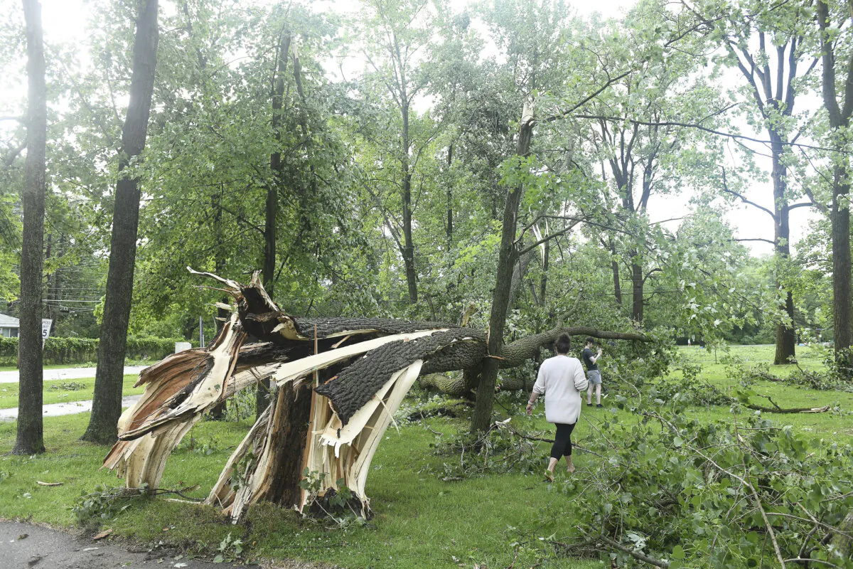 Laure (cq) Hibberd and her son, Johnny Hibberd walk past a downed tree at Rotary Park after a tornado swept through the area in Livonia, Mich., Wednesday, June 5, 2024. (Robin Buckson/Detroit News via AP)