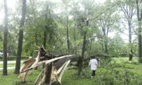 Tornado Hits Michigan Without Warning, Killing Toddler, While Twister in Maryland Injures 5