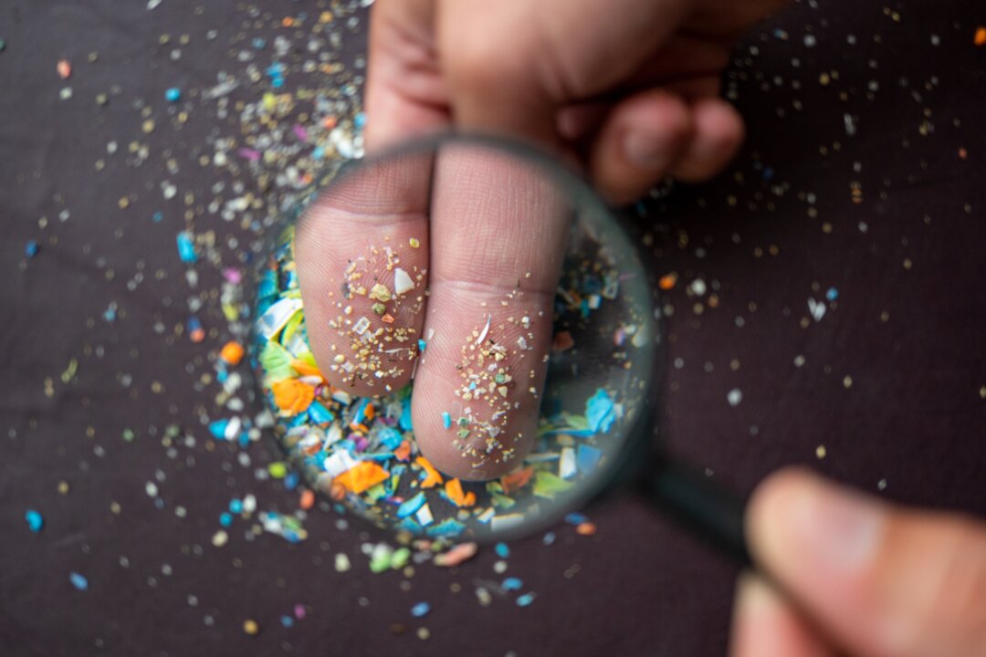 Potential Harm of Microplastics to Cardiovascular and Brain Health