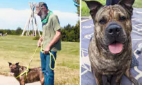 Man With Stage 4 Cancer Looks For New Home for His Beloved Dog—After He’s Gone: ‘She Deserves a Good Life’