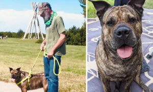 Man With Stage 4 Cancer Looks For New Home for His Beloved Dog—After He’s Gone: ‘She Deserves a Good Life’