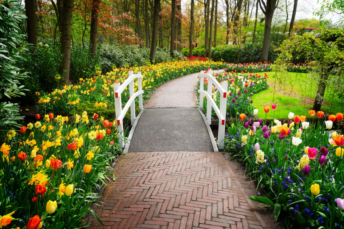 A bridge will draw your guests to your garden. (Neirfy/Shutterstock)