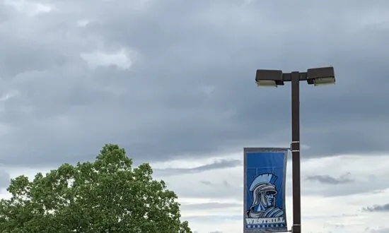 New York School Districts Comply With State DEI Policy Forcing Mascot Changes