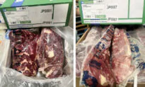 USDA Recalls More Than 20,000 Pounds of Frozen Beef Products