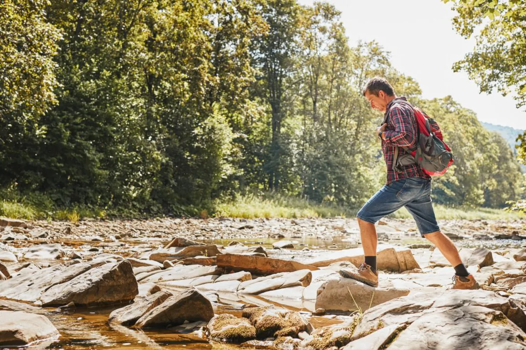 (Przemek Klos/Shutterstock)