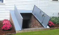 Replace a Cellar Door