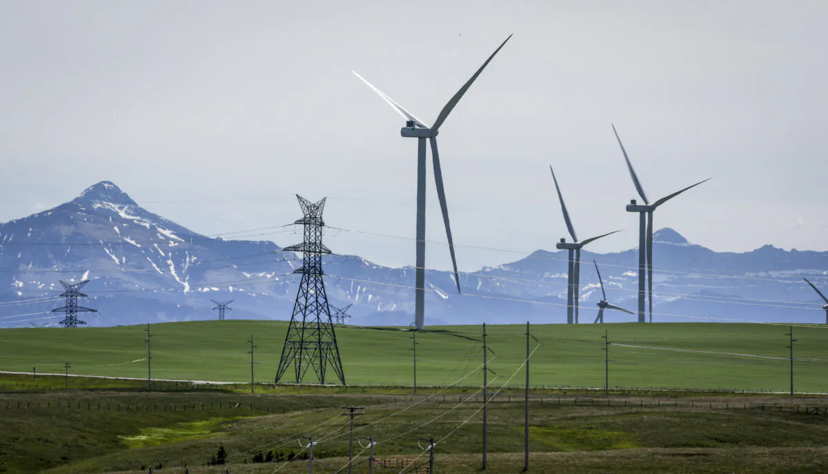 Power transmission lines and wind turbines as seen with the Rocky Mountains in the background near Pincher Creek, Alta., on June 6, 2024. (The Canadian Press/Jeff McIntosh)