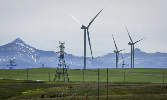 Transmission Delays to Add $1,100 to NSW Electricity Bills: Nexa Advisory