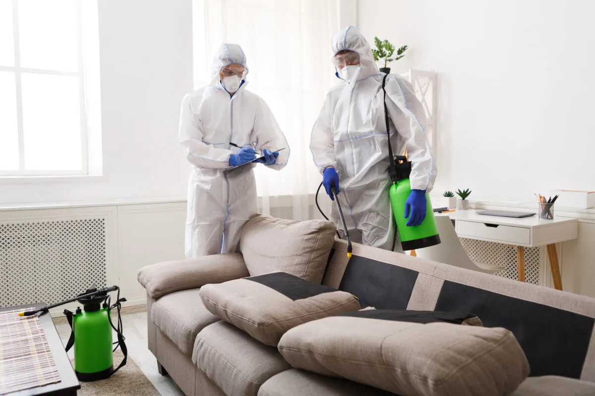 Professional pest control is expensive, but they get the job done well. (Prostock-studio/Shutterstock)