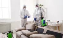 Help! Need Cheap Pest Control, Leather Seats Are Hopelessly Stained, Best Upright Vacuum on Earth