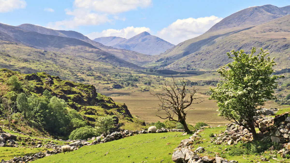 A drive along the Ring of Kerry presents classic views of the Irish countryside. (Pat O'Connor, Rick Steves' Europe)