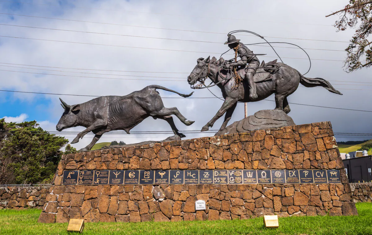 A bronze statue of a Hawaiian cowboy and steer with local ranch brands, on Hawaii's Big Island. (Sandra Foyt/Dreamstime/TNS)