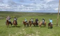 Surrounded by Miles of Pastures, a Unique School Helps Teens Rebuild Their Lives