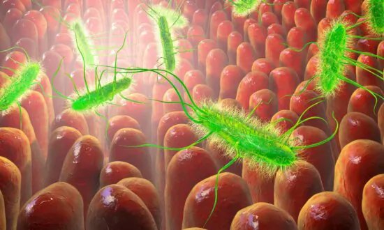 New Antibiotic Targets Only Harmful Microbes