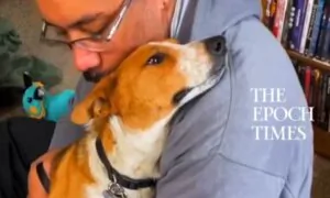 Rescue Dog Sage Overcomes Fears to Feel Safe in Her New Home