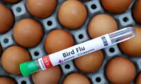 WHO Says Comorbidities, Not Bird Flu, Cause of a Mexican Man’s Death, Changes Initial Report