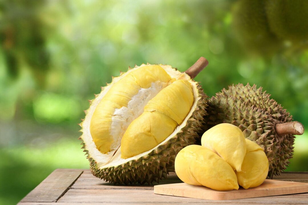 Durian: The ‘King of Fruits’ May Be Smelly, but It Has High Medicinal Value